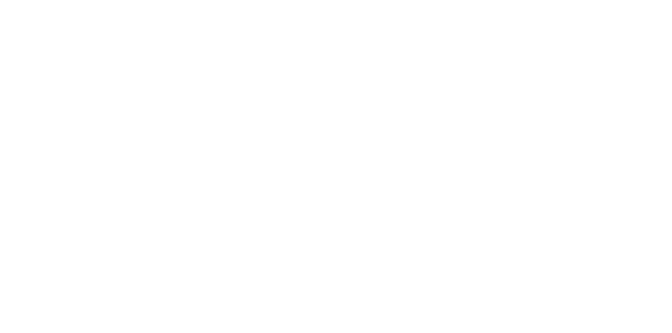  logo Xalostoc